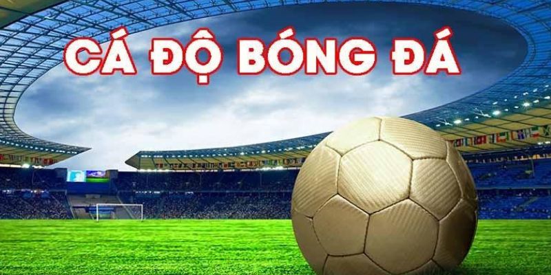 Tìm hiểu cá độ thể thao Mana88